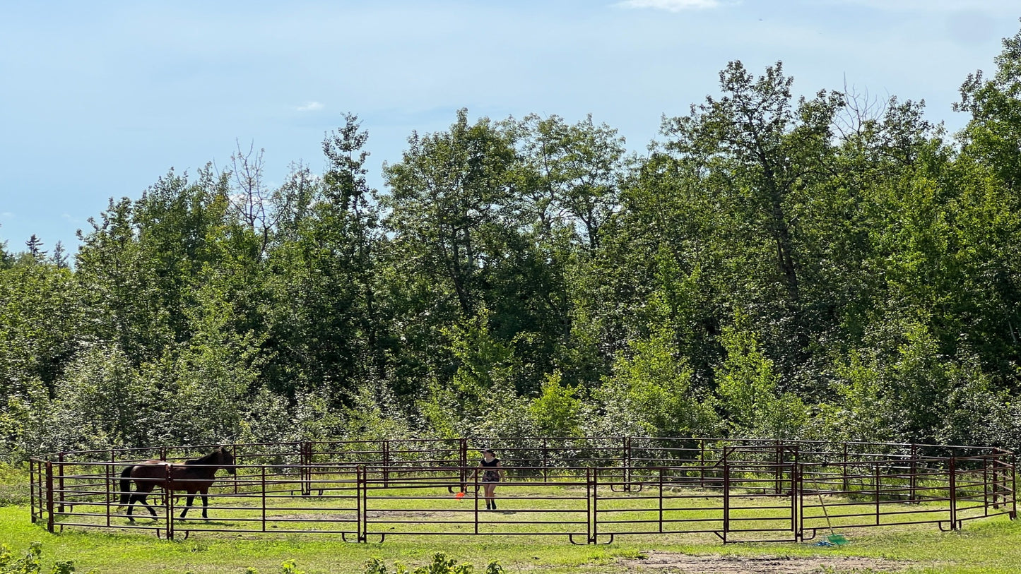 Monthly Horse Boarding